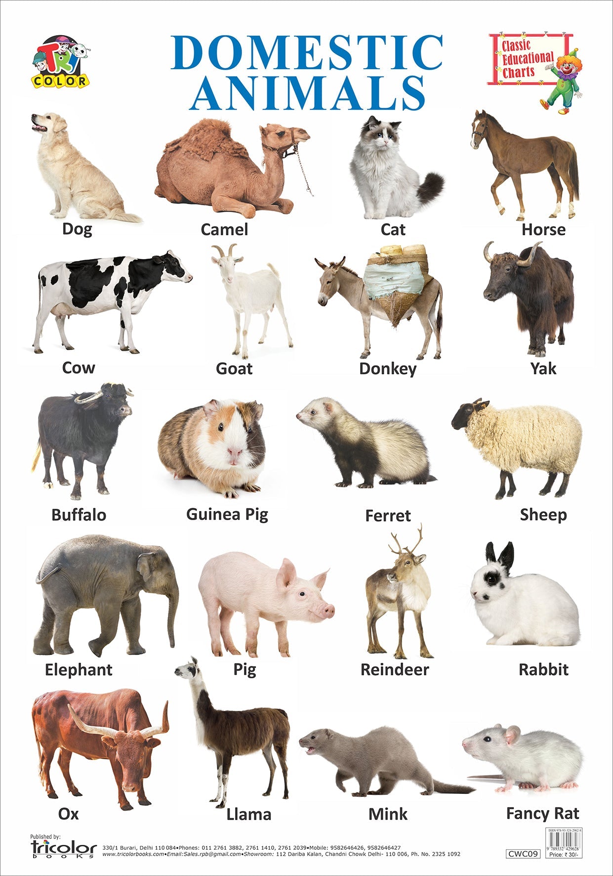 Domestic Animals Chart Farm Animal Chart Stock Illustration.