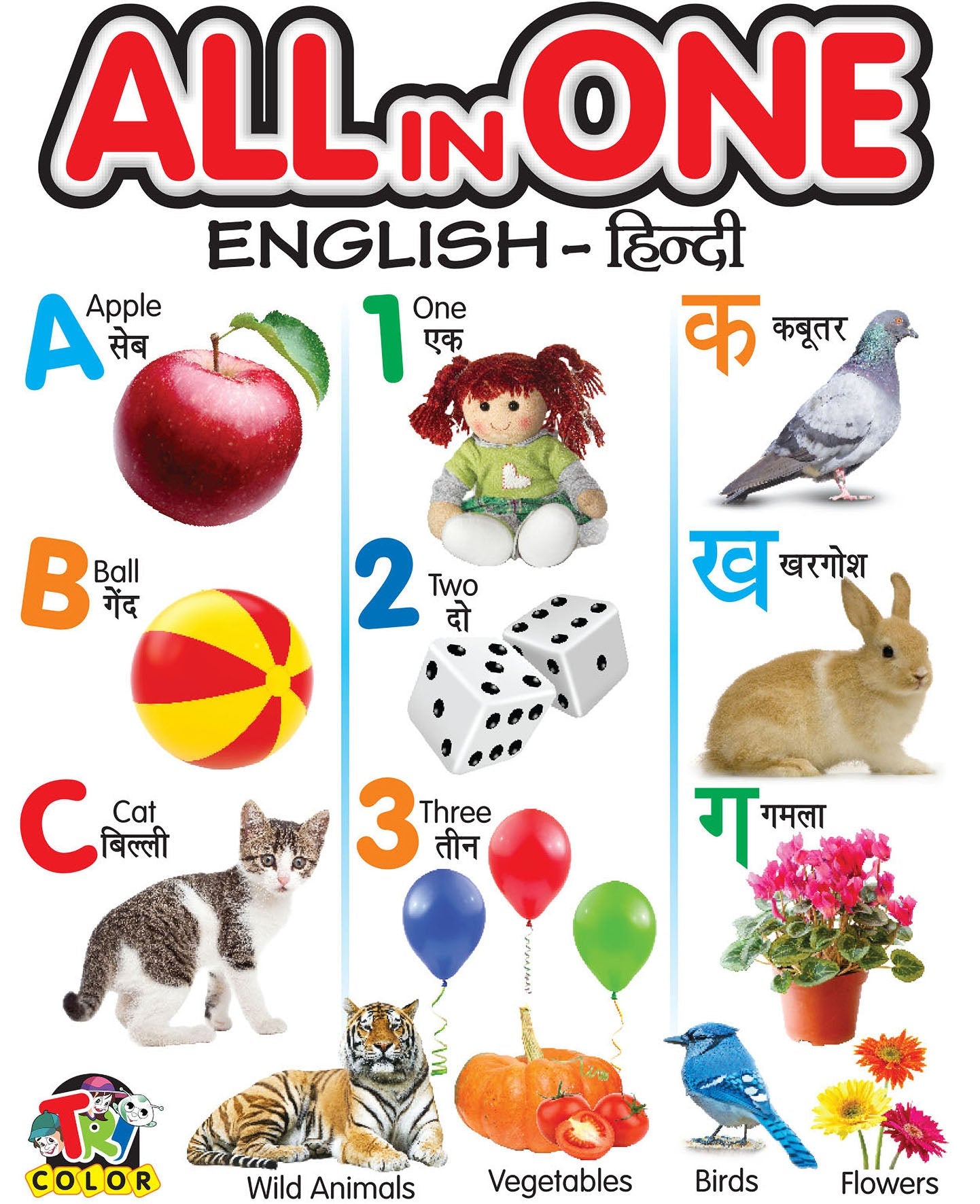 All In One English Hindi