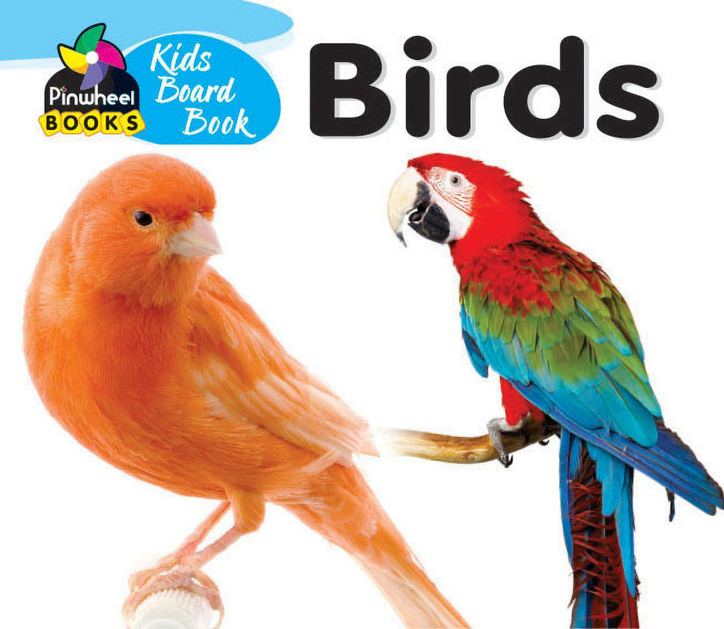 Kids Board Book-Birds