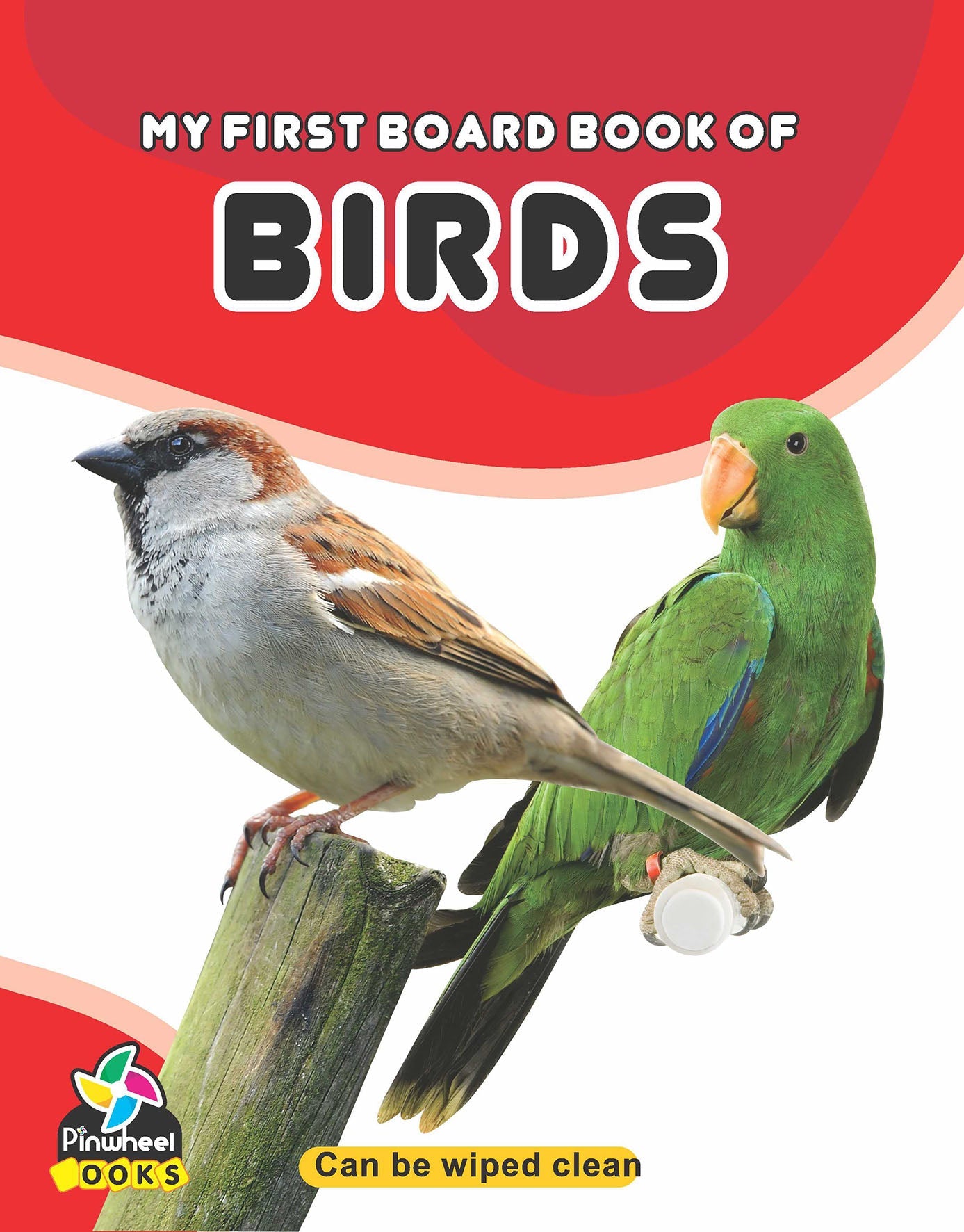 My First Board Book Of Birds