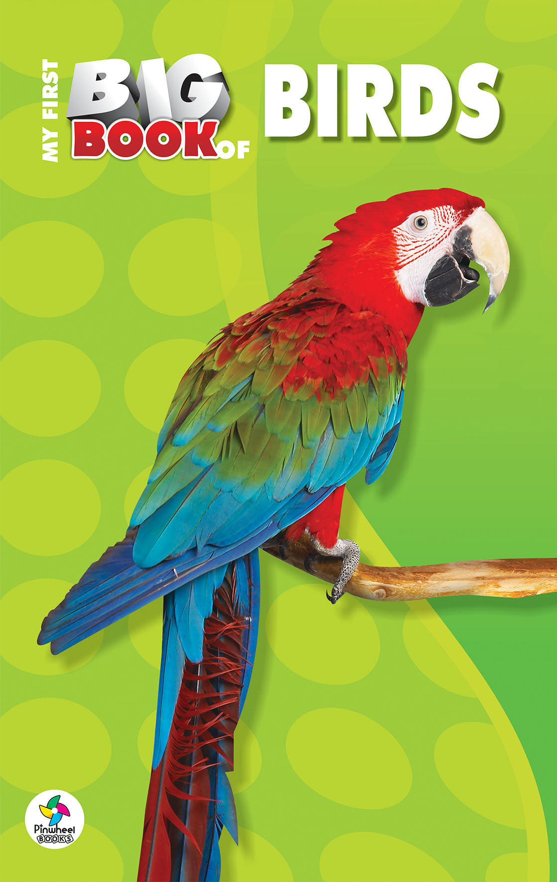 MY FIRST BIG BOOK OF BIRDS