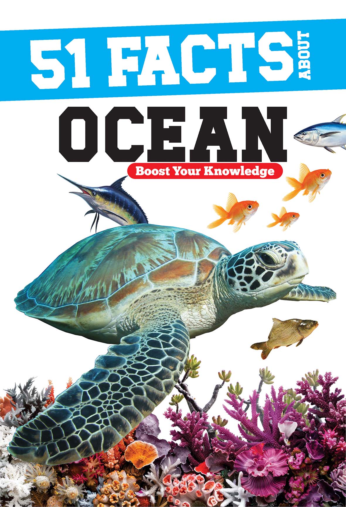 51 FACTS ABOUT OCEAN