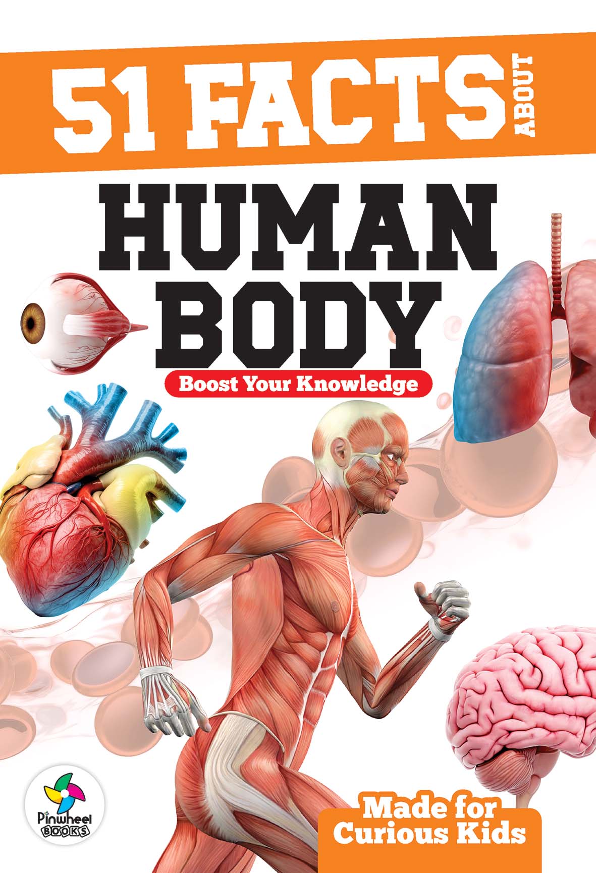 51 FACTS ABOUT HUMAN BODY