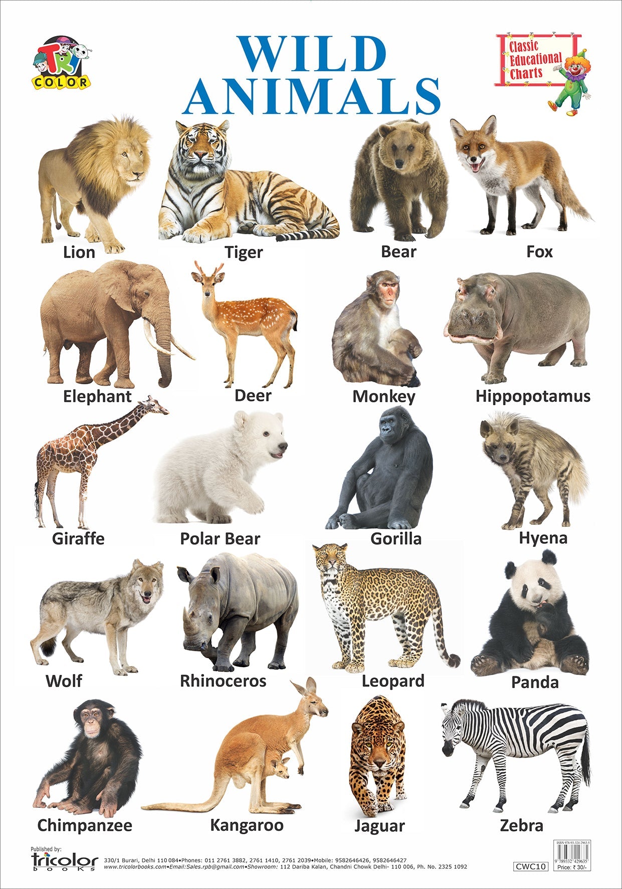 Wild Animals Chart.pdf Classic Small Charts-Wild Animals | Pinwheel Books