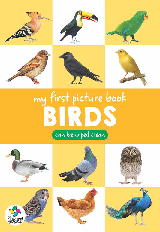 My First Picture Book Birds